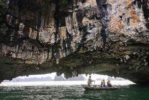 Ab Hanoi: 1-tägige Halong-Bucht-Kreuzfahrt mit großen und kleinen Gruppen