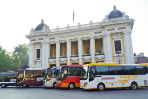 Ab Hanoi: 1-tägige Halong-Bucht-Kreuzfahrt mit großen und kleinen Gruppen