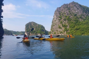 Ab Hanoi: 1-tägige Halong-Bucht-Kreuzfahrt mit großen und kleinen Gruppen