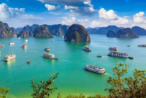 Ab Hanoi: 1-tägige Halong-Bucht-Kreuzfahrt mit großen und kleinen Gruppen