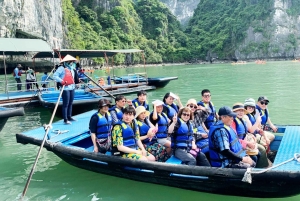 Ab Hanoi: 1-tägige Halong-Bucht-Kreuzfahrt mit großen und kleinen Gruppen