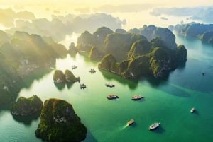 Ab Hanoi: 1-tägige Halong-Bucht-Kreuzfahrt mit großen und kleinen Gruppen