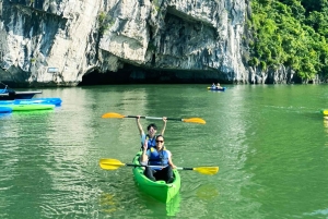 Ab Hanoi: 1-tägige Halong-Bucht-Kreuzfahrt mit großen und kleinen Gruppen