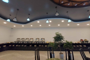 ハノイ発：ニンビンハイライトツアー1日（昼食付