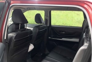 From Hanoi: 1-Day Private Car to Incense Village & Ninh Binh