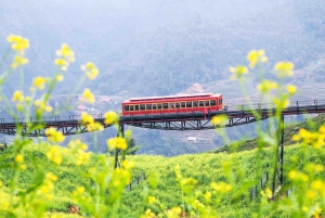 Fra Hanoi: 1-dags Sapa Trekking Tour med bustur med overnatning