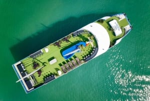From Hanoi/Halong: Ha Long Bay Day Trip with Luxury Cruise