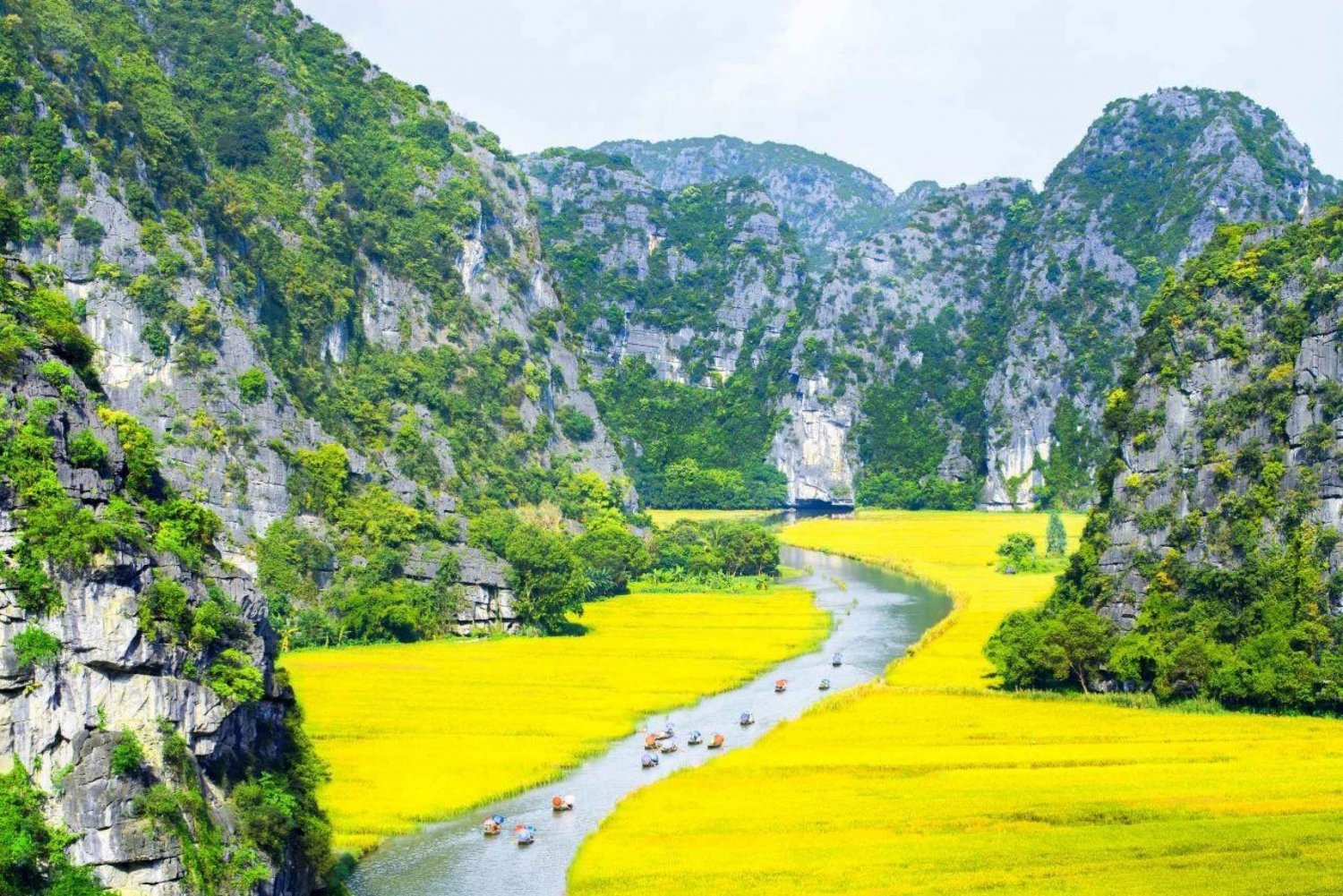 From Hanoi: Ninh Binh- Hoa Lu-Tam Coc- Mua Cave- Highlight