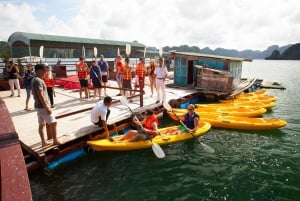 Da Hanoi: tour di 2 giorni e 1 notte nella baia di Halong