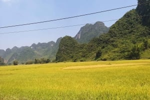 De Hanói: excursão de 2 dias à cachoeira Ban Gioc