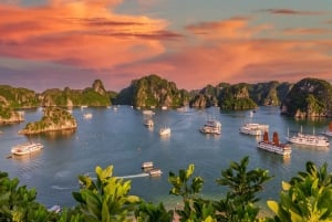 Fra Hanoi: 2-dagers cruise i Ha Long Bay og Ninh Binh UNESCO-tur