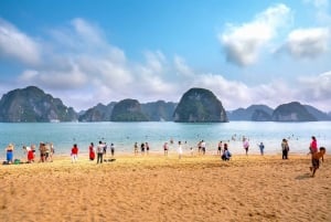 Fra Hanoi: 2-dagers cruise i Ha Long Bay og Ninh Binh UNESCO-tur