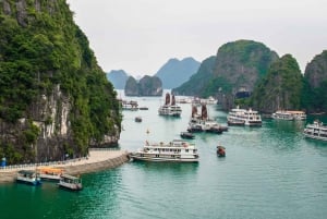 Fra Hanoi: 2-dagers cruise i Ha Long Bay og Ninh Binh UNESCO-tur