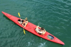 Hanoi: Baia di Lan Ha e isola di Cat Ba 1 o 2 giorni in crociera di lusso