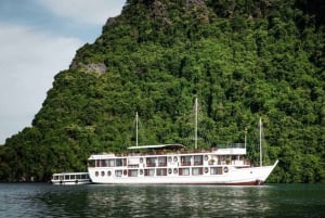 Hanoi: Baia di Lan Ha e isola di Cat Ba 1 o 2 giorni in crociera di lusso
