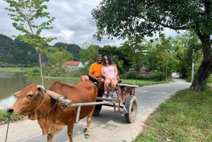 Hanoista: 2 päivän Ninh Binh -kierros majoituksella ja aterioilla