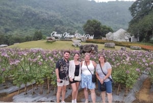 Z Hanoi: 2-dniowa wycieczka do Ninh Binh z zakwaterowaniem i posiłkami