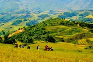 From Hanoi: 2-Day Overnight Sapa Tour by Limousine