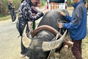 Da Hanoi, 2 giorni di trekking, cultura e rafting su zattere di bambù a Pu Luong