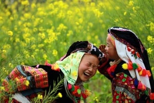 Från Hanoi: 2-dagars etnisk homestay-tur med vandring i Sa Pa