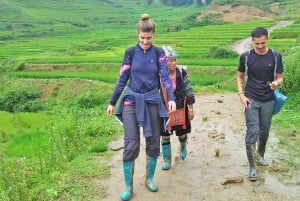 Från Hanoi: 2-dagars etnisk homestay-tur med vandring i Sa Pa