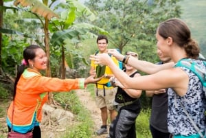 Från Hanoi: 2-dagars etnisk homestay-tur med vandring i Sa Pa
