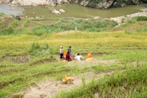 Från Hanoi: 2-dagars etnisk homestay-tur med vandring i Sa Pa