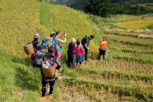 Från Hanoi: 2-dagars etnisk homestay-tur med vandring i Sa Pa