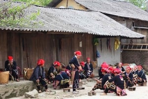 Från Hanoi: 2-dagars etnisk homestay-tur med vandring i Sa Pa