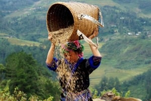 Z Hanoi: 2-dniowa wycieczka kulturowa do Sapa z zakwaterowaniem u rodziny goszczącej