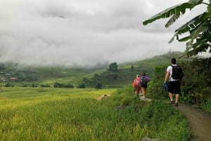 Z Hanoi: 2-dniowa wycieczka kulturowa do Sapa z zakwaterowaniem u rodziny goszczącej