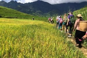 Z Hanoi: 2-dniowa wycieczka kulturowa do Sapa z zakwaterowaniem u rodziny goszczącej