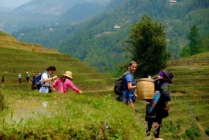De Hanói: excursão de dois dias a Sapa, Fansipan e Vale de Muong Hoa