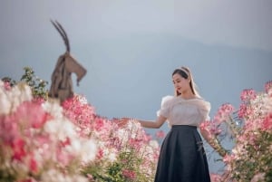 From Hanoi: 2-Day Sapa, Fansipan, and Muong Hoa Valley Tour