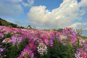 From Hanoi: 2-Day Sapa, Fansipan, and Muong Hoa Valley Tour