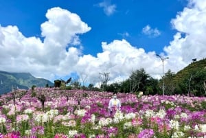 From Hanoi: 2-Day Sapa, Fansipan, and Muong Hoa Valley Tour