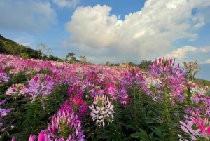 From Hanoi: 2-Day Sapa, Fansipan, and Muong Hoa Valley Tour