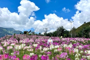 From Hanoi: 2-Day Sapa, Fansipan, and Muong Hoa Valley Tour