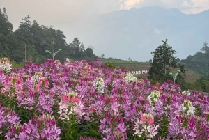 From Hanoi: 2-Day Sapa, Fansipan, and Muong Hoa Valley Tour