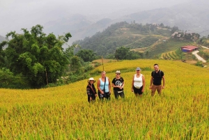 Von Hanoi: 2-tägige Tour nach Sapa, zum Fansipan-Gipfel, Trekking und Bus nach Ha Giang