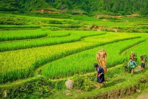 Von Hanoi: 2-tägige Tour nach Sapa, zum Fansipan-Gipfel, Trekking und Bus nach Ha Giang