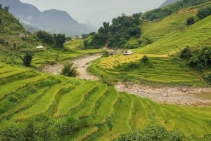 Fra Hanoi: 2-dagers vandring i Sapa til Lao Chai, Cat Cat og Fansipan