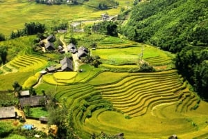 Fra Hanoi: 2-dagers fottur i Sapa med innkvartering og måltider i hjemlandet