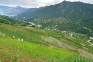 Fra Hanoi: 2-dagers fottur i Sapa med innkvartering og måltider i hjemlandet