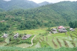 Fra Hanoi: 2-dagers fottur i Sapa med innkvartering og måltider i hjemlandet