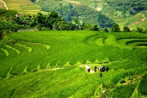 Fra Hanoi: 2-dagers fottur i Sapa med innkvartering og måltider i hjemlandet