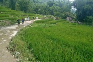 Fra Hanoi: 2-dagers fottur i Sapa med innkvartering og måltider i hjemlandet