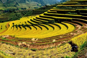 Vanuit Hanoi: 2-daagse Sapa-Fansipan Peak & Trek & Ha Giang Bus