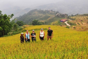 Vanuit Hanoi: 2-daagse Sapa-Fansipan Peak & Trek & Ha Giang Bus
