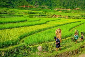 Vanuit Hanoi: 2-daagse Sapa-Fansipan Peak & Trek & Ha Giang Bus